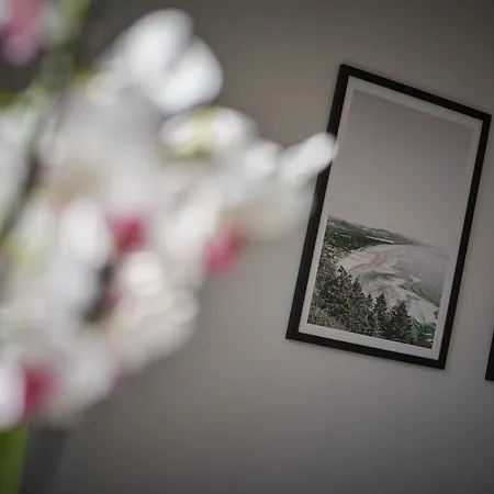 Mieszkanie The Heart Of